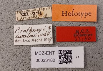 Media type: image;   Entomology 33180 Aspect: labels